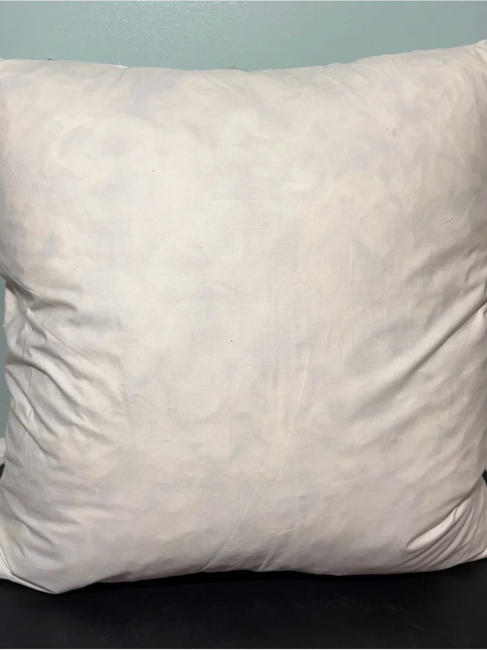 Plain White Decorative Pillow Insert 18X18